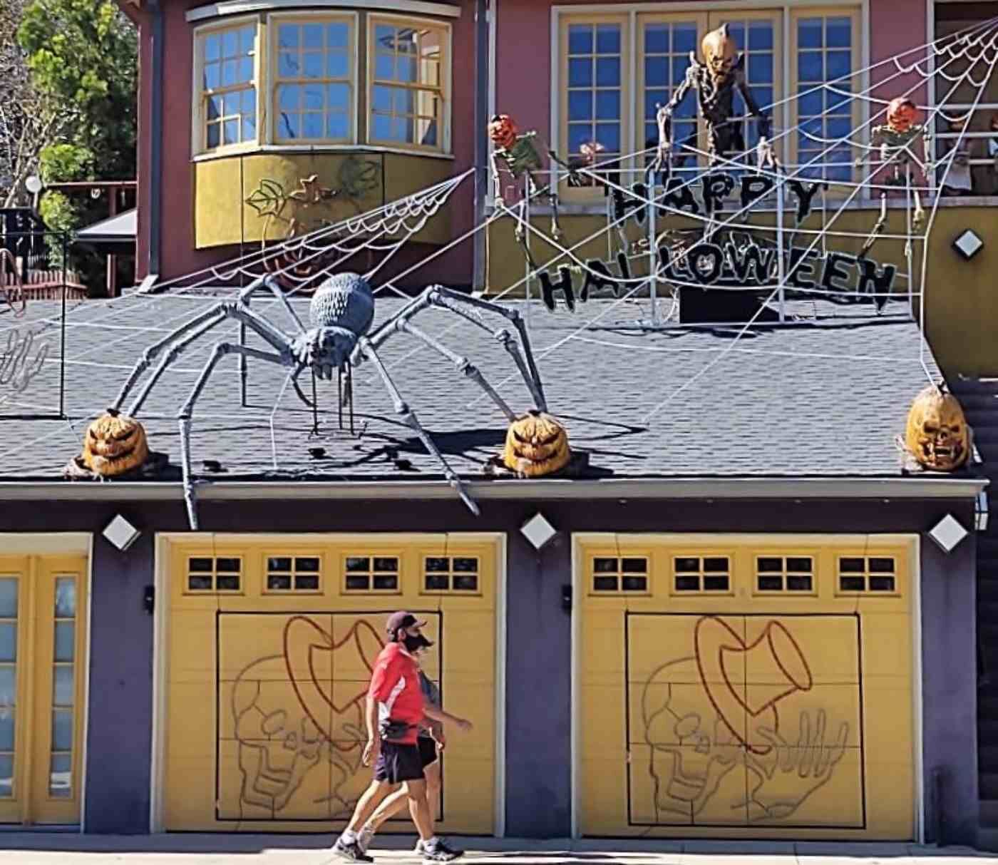Silver Lake Spider